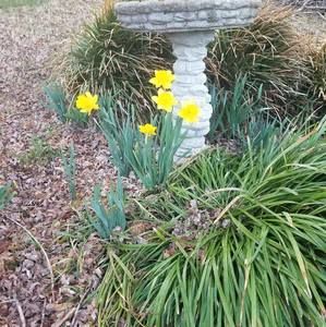 Meet your Posher, Vicki